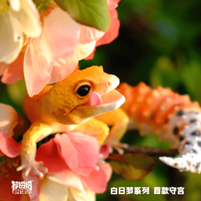 【模撈撈】 守宮白日夢系列 第一彈 《BANA巴納的飛行夢》5