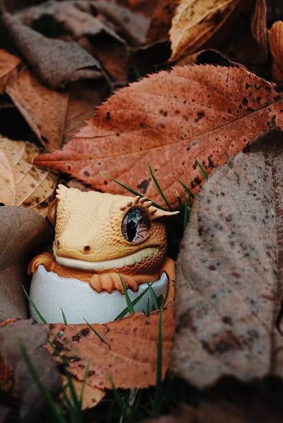 【搗搗蛋】守宮不倒蛋2