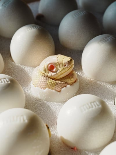 【搗搗蛋】蛇蛇不倒蛋7