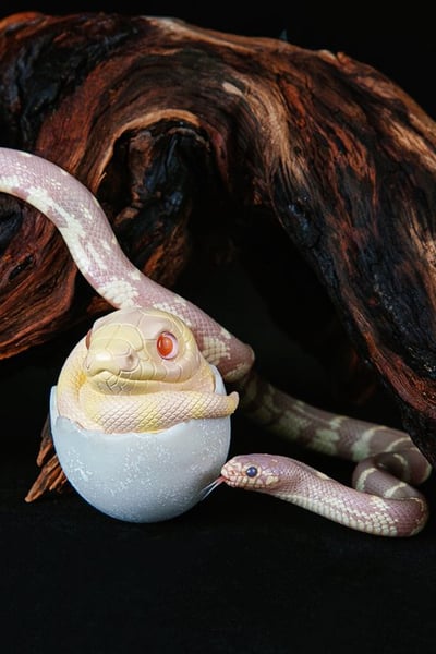 【搗搗蛋】蛇蛇不倒蛋4