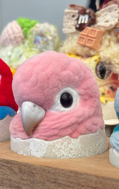 【搗搗蛋】鸚鵡不倒蛋8