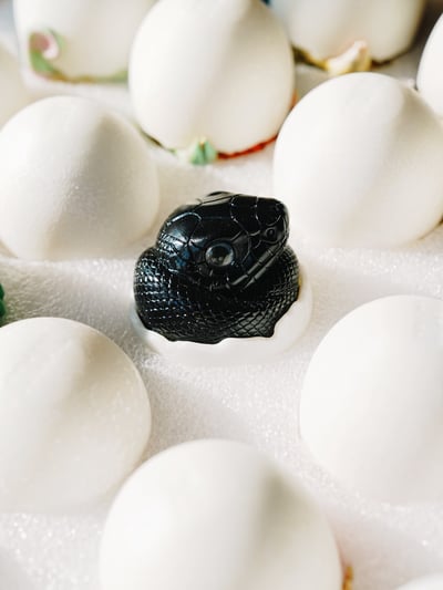 【搗搗蛋】蛇蛇不倒蛋5