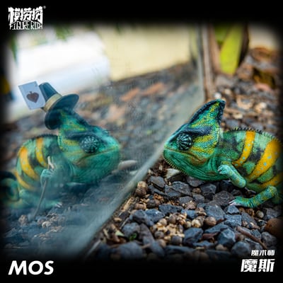 【模撈撈】 守宮白日夢系列 第二彈 《MOS魔斯的魔術夢》10