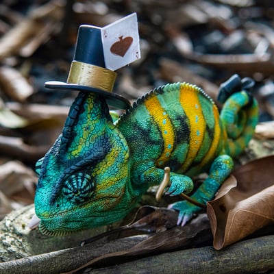 【模撈撈】 守宮白日夢系列 第二彈 《MOS魔斯的魔術夢》9