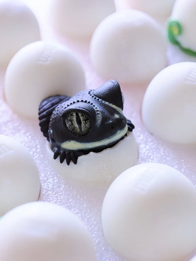 【搗搗蛋】守宮不倒蛋6