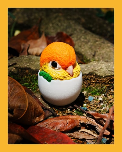 【搗搗蛋】鸚鵡不倒蛋1