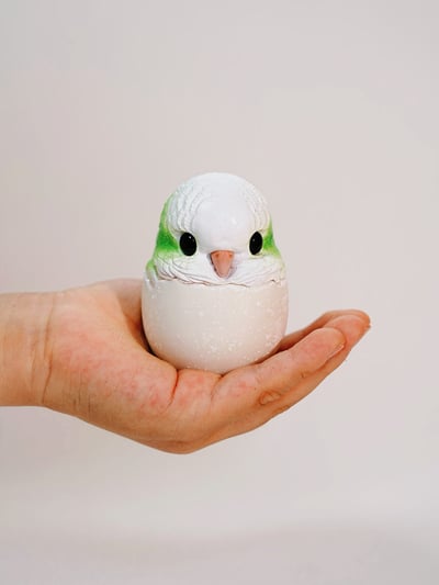 【搗搗蛋】鸚鵡不倒蛋4