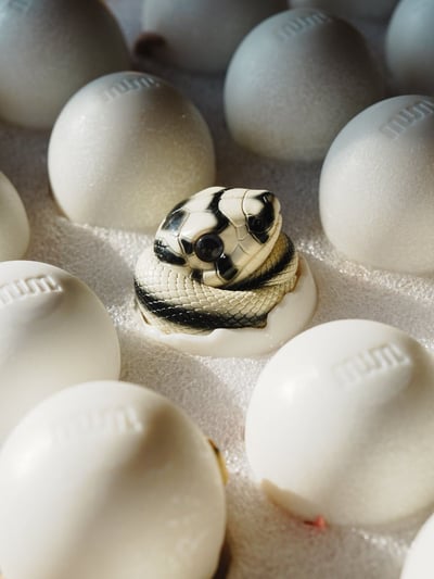 【搗搗蛋】蛇蛇不倒蛋6