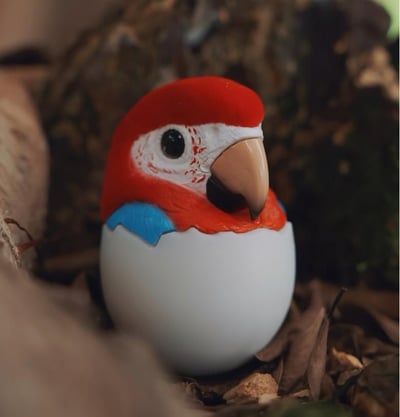 【搗搗蛋】鸚鵡不倒蛋10