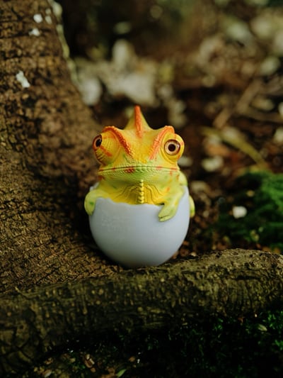 【搗搗蛋】蜥蜴不倒蛋2