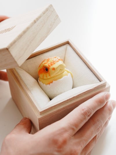 【搗搗蛋】蛇蛇不倒蛋9