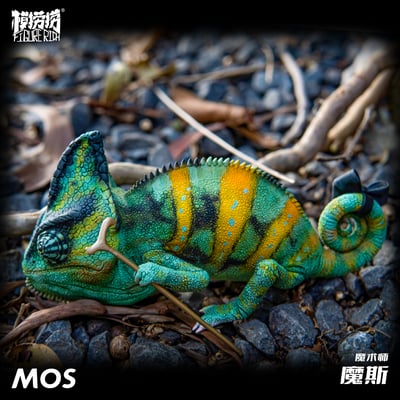 【模撈撈】 守宮白日夢系列 第二彈 《MOS魔斯的魔術夢》5