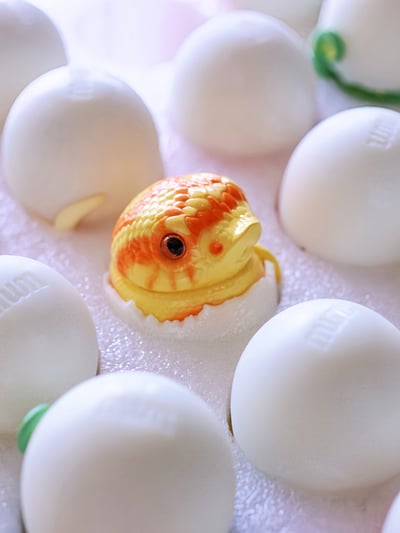 【搗搗蛋】蛇蛇不倒蛋8