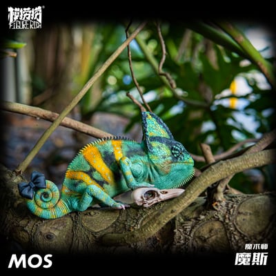 【模撈撈】 守宮白日夢系列 第二彈 《MOS魔斯的魔術夢》7