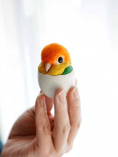 【搗搗蛋】鸚鵡不倒蛋5