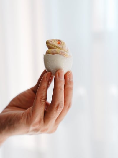 【搗搗蛋】蛇蛇不倒蛋2