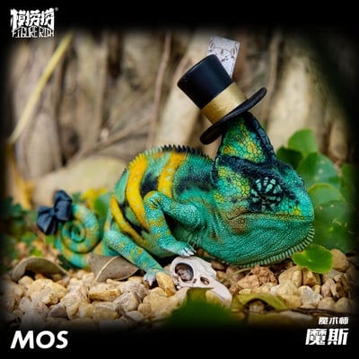 【模撈撈】 守宮白日夢系列 第二彈 《MOS魔斯的魔術夢》4