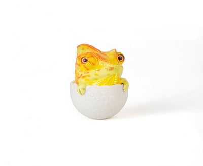 【搗搗蛋】蜥蜴不倒蛋11