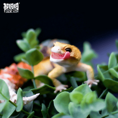 【模撈撈】 守宮白日夢系列 第一彈 《BANA巴納的飛行夢》18