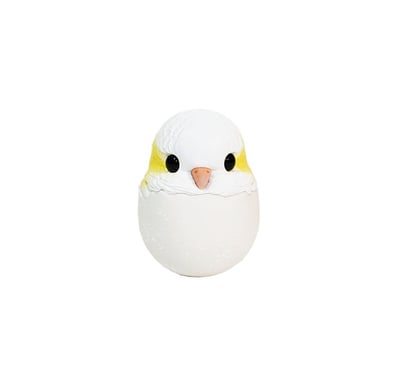 【搗搗蛋】鸚鵡不倒蛋12