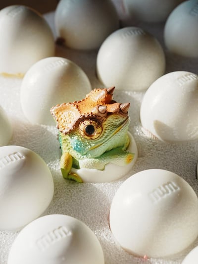 【搗搗蛋】蜥蜴不倒蛋6