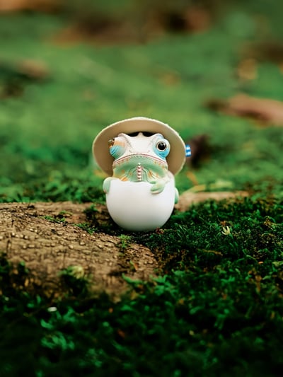 【搗搗蛋】蜥蜴不倒蛋3