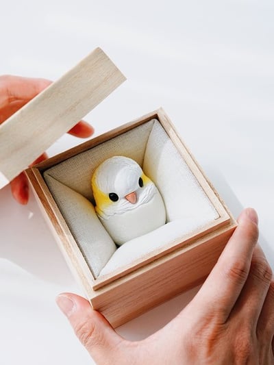 【搗搗蛋】鸚鵡不倒蛋3