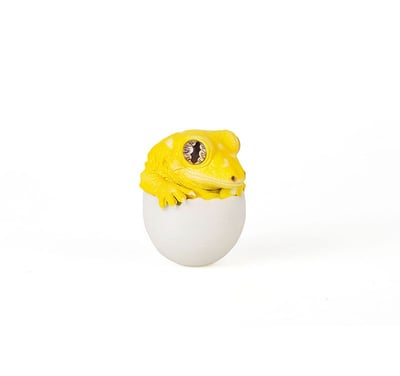 【搗搗蛋】守宮不倒蛋25