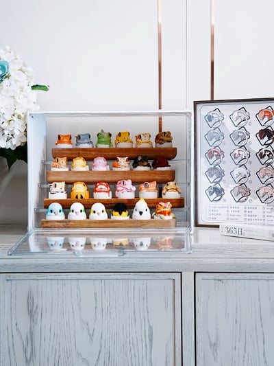 【搗搗蛋】木頭展示架 (可放6隻)