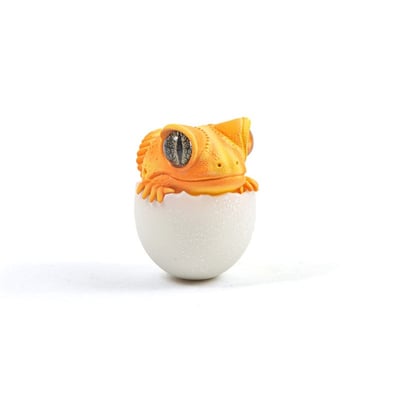 【搗搗蛋】守宮不倒蛋13