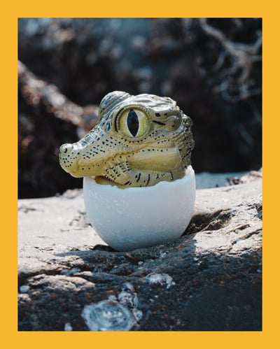 【搗搗蛋】鱷魚不倒蛋1