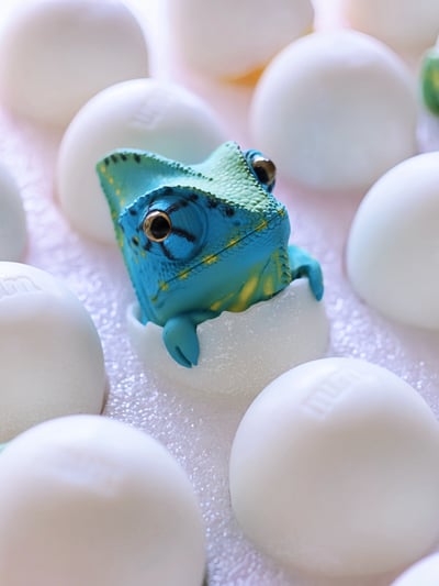 【搗搗蛋】蜥蜴不倒蛋4