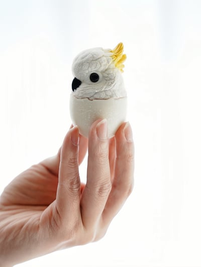 【搗搗蛋】鸚鵡不倒蛋7