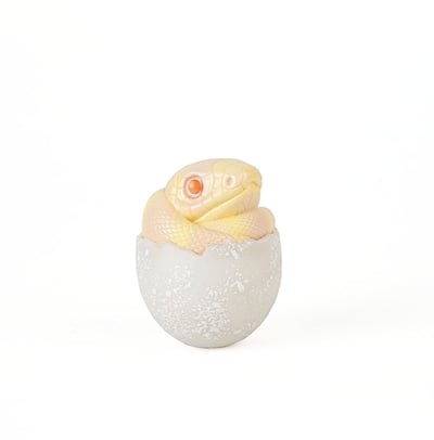 【搗搗蛋】蛇蛇不倒蛋11