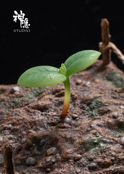 【神隱】農民龍貓7