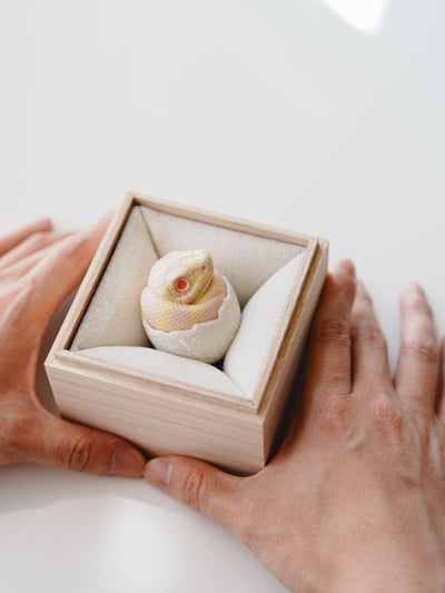 【搗搗蛋】蛇蛇不倒蛋3