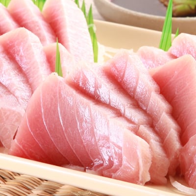 北方黑鮪魚 中腹2