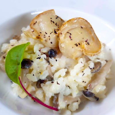 日本青森熟扇貝3