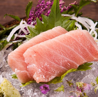 南方黑鮪魚 大腹4