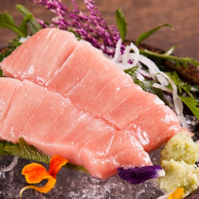 北方黑鮪魚 中腹4