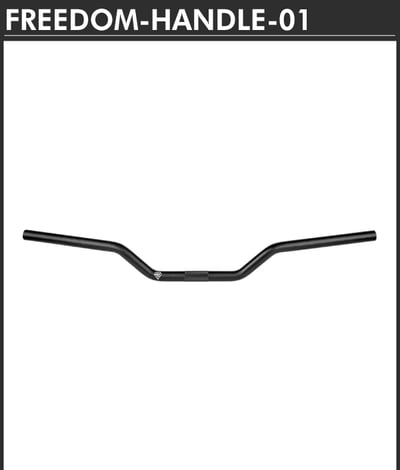 Freedom 低把手1