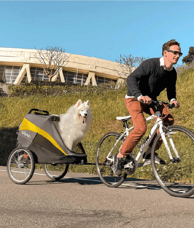 ibiyaya 黃金巴士充氣胎寵物推車2.0進化版5