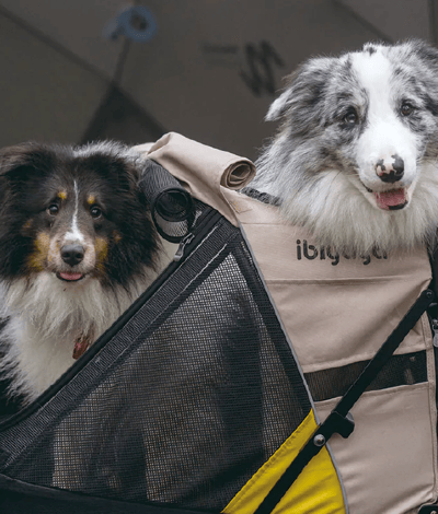 ibiyaya 迷你卡三合一寵物拖推車13