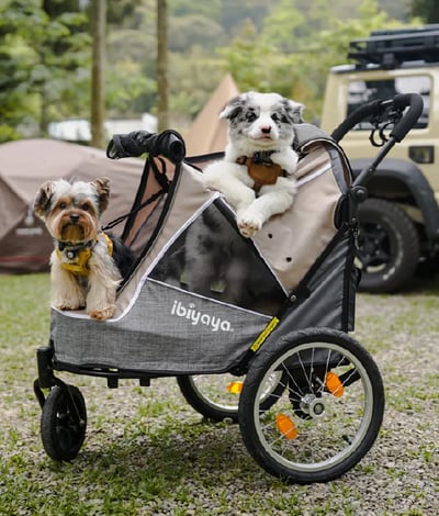 ibiyaya 二代兩用寵物推/拖車2.0進化版11