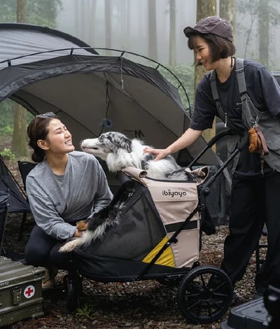ibiyaya 迷你卡三合一寵物拖推車14
