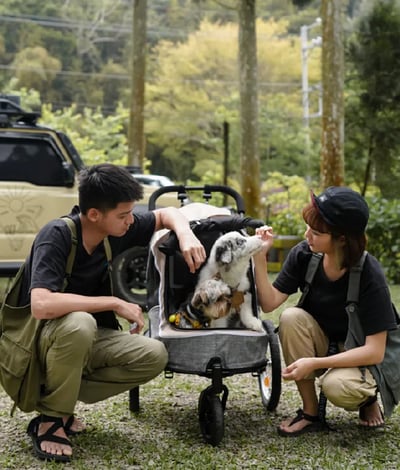 ibiyaya 二代兩用寵物推/拖車2.0進化版12