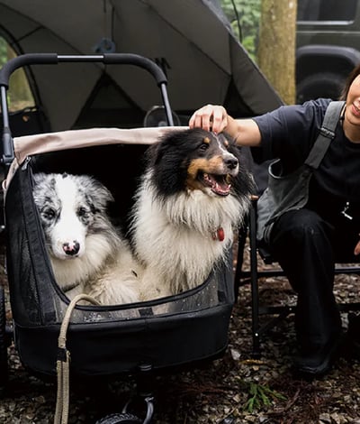 ibiyaya 迷你卡三合一寵物拖推車12