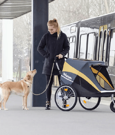 ibiyaya 黃金巴士充氣胎寵物推車2.0進化版6