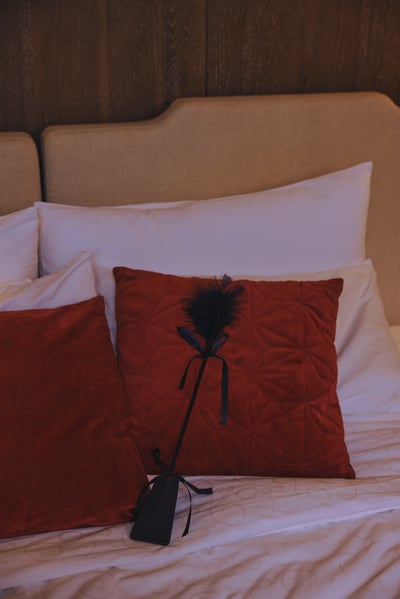 Wild 調情皮革羽毛鞭6