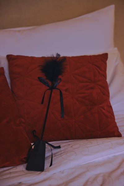 Wild 調情皮革羽毛鞭7